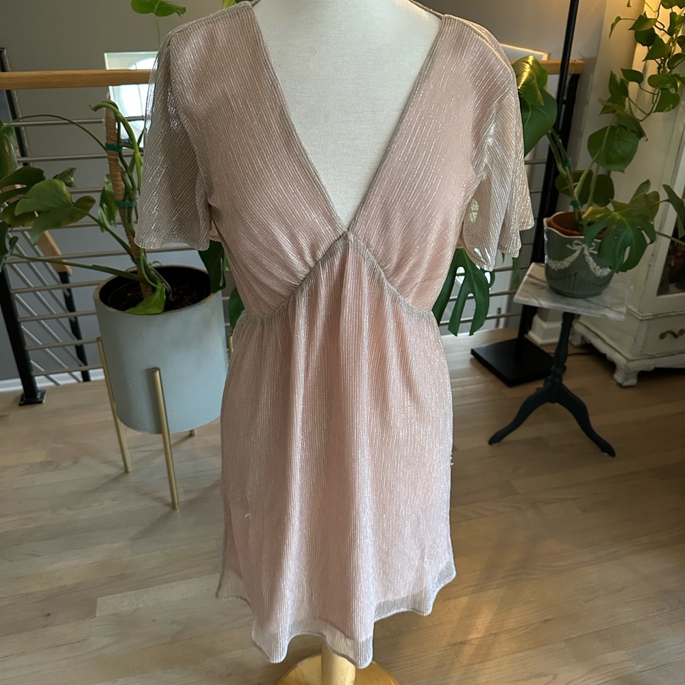 Francesca's Collections Blush Pink Dress
